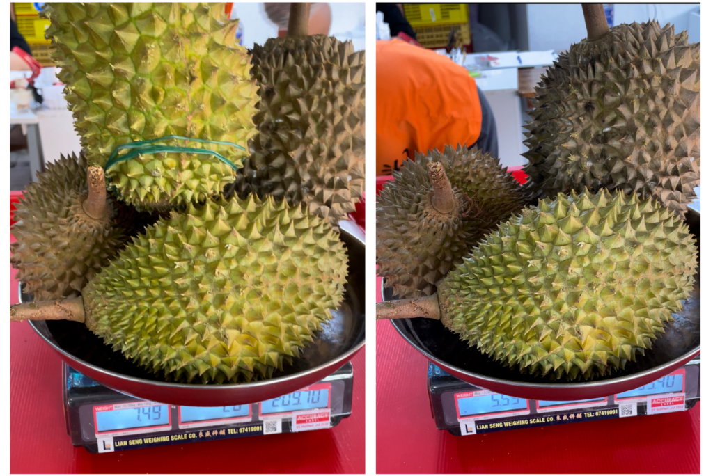 Trying the Best Durian - Tiger Black Gold Durians from Durian SG