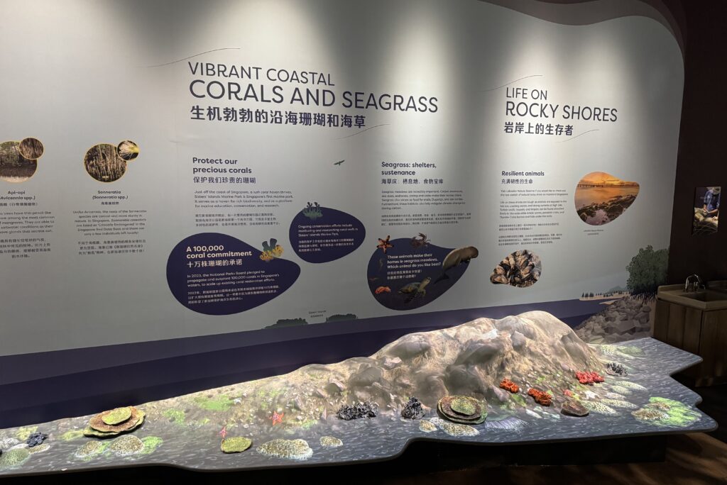 Singapore Oceanarium Resort World Sentosa 