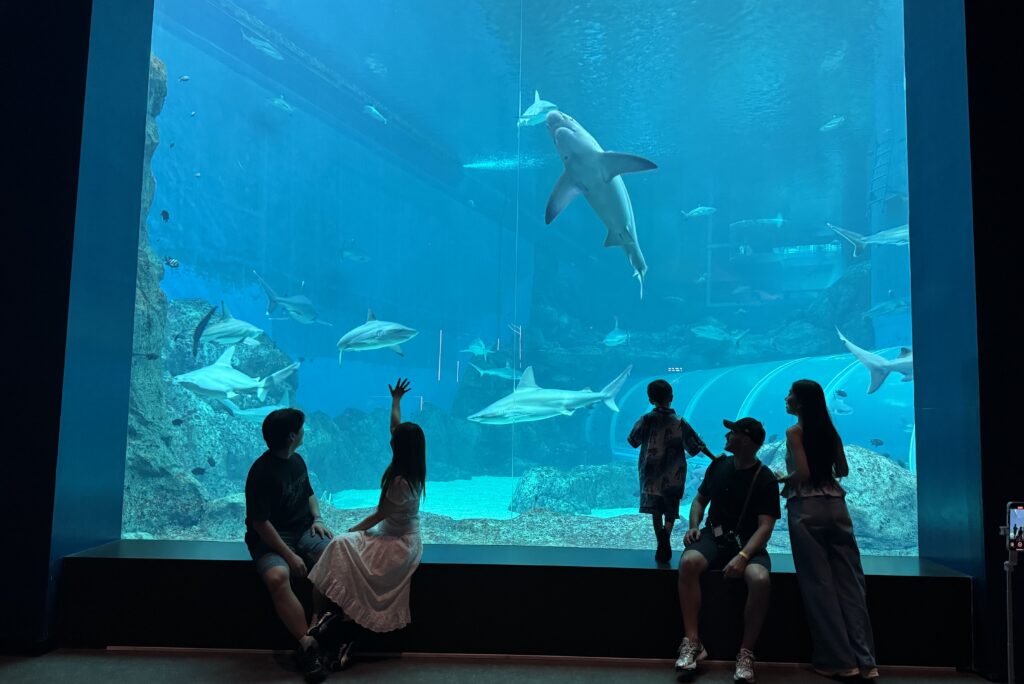 Singapore Oceanarium Resort World Sentosa 