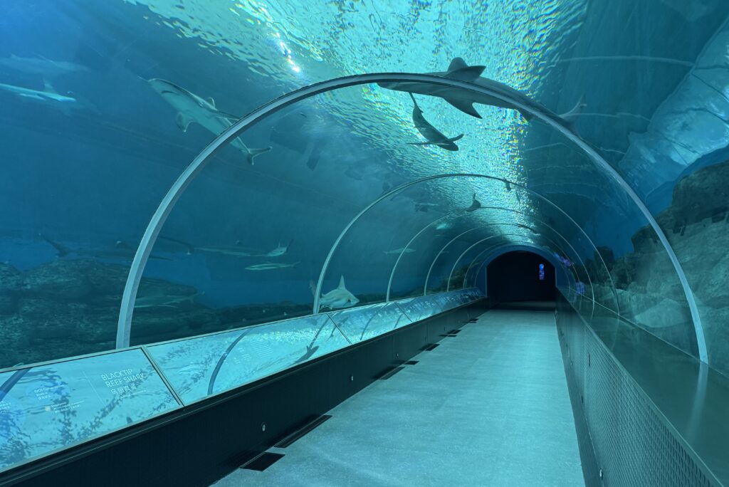 Singapore Oceanarium Resort World Sentosa 