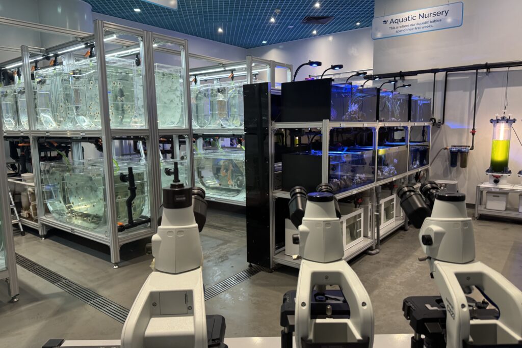 Singapore Oceanarium Resort World Sentosa 