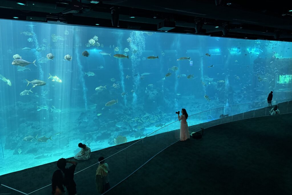 Singapore Oceanarium Resort World Sentosa 