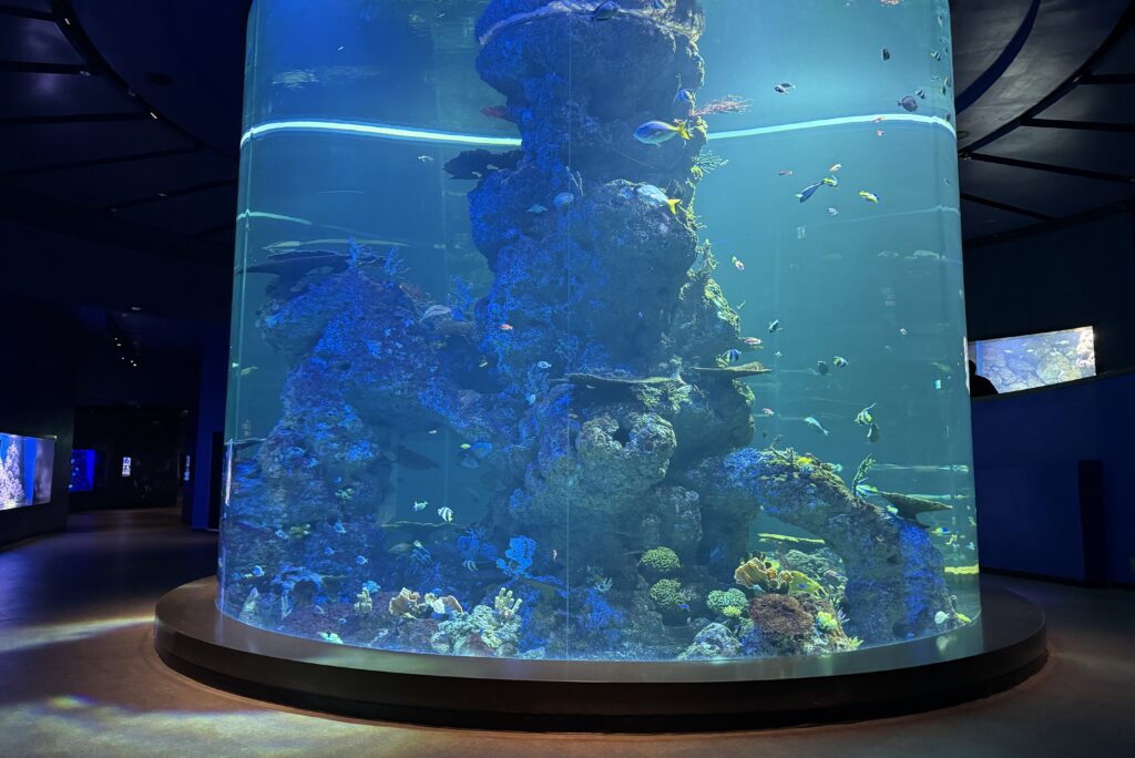 Singapore Oceanarium Resort World Sentosa 