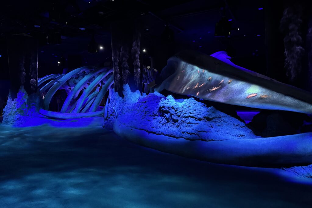 Singapore Oceanarium Resort World Sentosa 